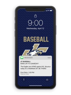 Image post by @JuniataBaseball on Twitter