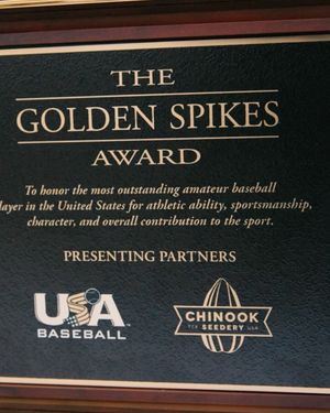 Image post by @usagoldenspikes on Instagram