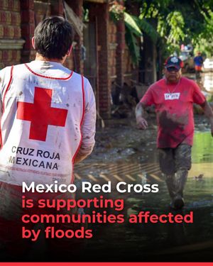 Image post by @ifrc on Instagram