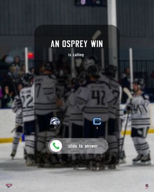 Image post by @unfhockey on Instagram