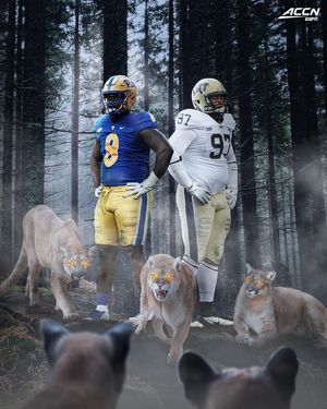 Image post by @accnetwork on Instagram