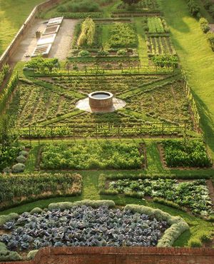 Image post by @ahs_gardening on Instagram