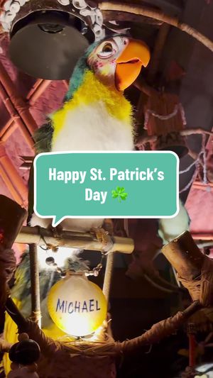 Video post by @disneyparks on TikTok