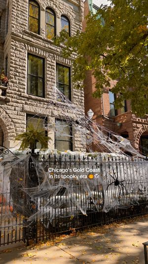 Video post by @explorechicago on TikTok