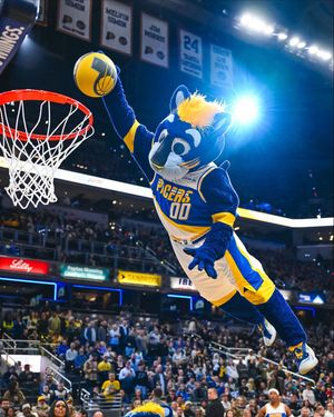 Image post by @pacersboomer on Instagram