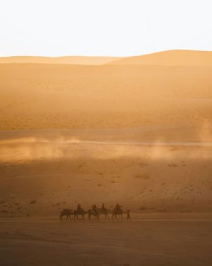 Image post by @unsplash on Instagram