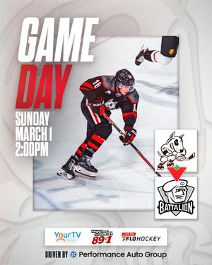 Image post by @ohlicedogs on Instagram