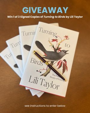 Image post by @featherfriendly on Instagram