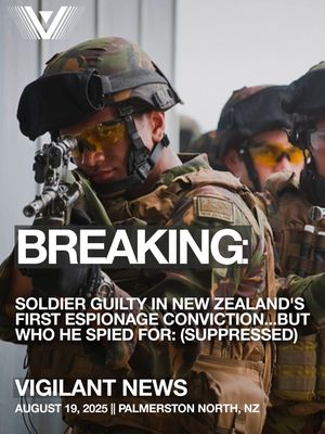 Image post by @thevigilantheroes on Instagram