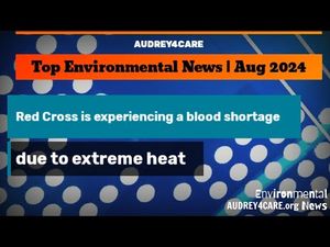 Video post by @audrey4care on YouTube
