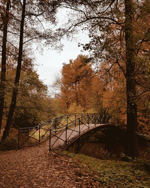 Image post by @kate.simple.life on Instagram