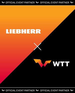 Image post by @wtt on Instagram