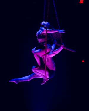 Image post by @magicmikelive on Instagram
