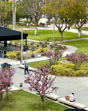 Image post by @csulbstudent on Instagram