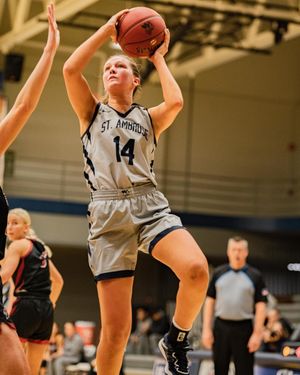 Image post by @saubees on Instagram