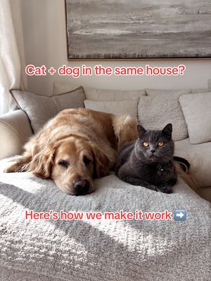 Video post by @petsmart on TikTok