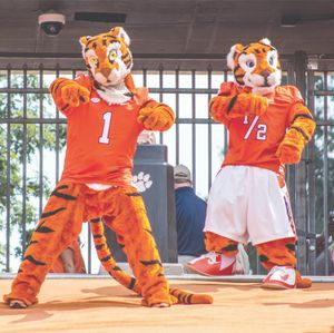 Image post by @thetiger_cu on Instagram