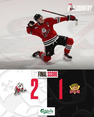 Image post by @ohlicedogs on Instagram
