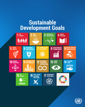 Image post by @unitednations on Instagram