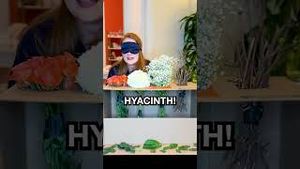 Video post by @claritin on YouTube
