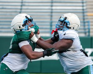 Image post by @greenwavefb on Instagram