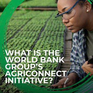 Image post by @worldbank on Instagram