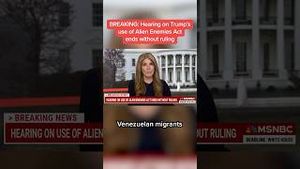 Video post by @msnbc on YouTube
