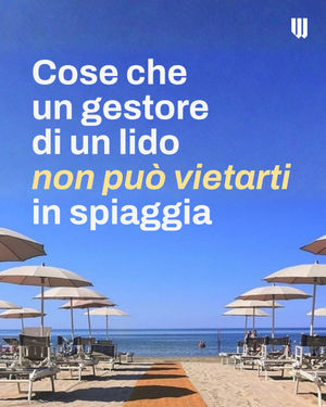 Image post by @will_ita on Instagram