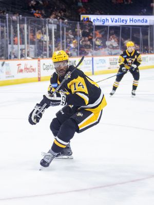 Image post by @wbspenguins on Instagram