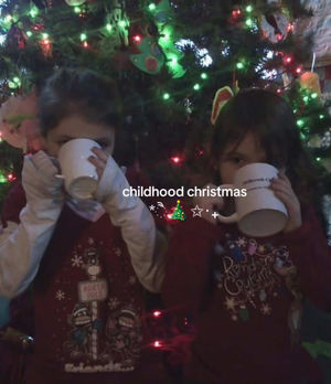 Video post by @avenoirscotties on TikTok