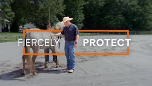 Video post by @clemsonuniversity on YouTube