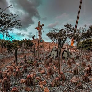 Image post by @donvitocorniel on Instagram