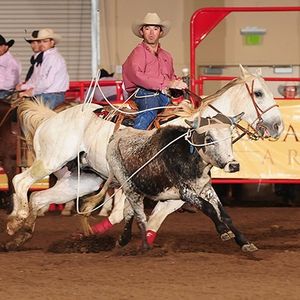Image post by @prca_prorodeo on Instagram