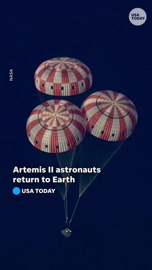 Video post by @usatoday on TikTok