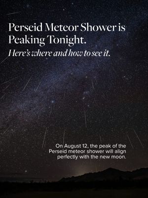 Video post by @condenasttraveler on TikTok