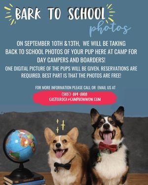 Image post by @campbowwowcastlerock on Instagram