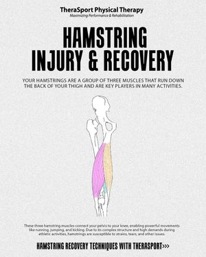 Image post by @therasport_pt on Instagram