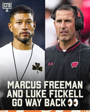 Image post by @br_cfb on Instagram