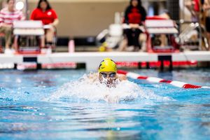 Image post by @wvuswimdive on Instagram