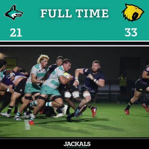 Image post by @dallasjackals on Instagram