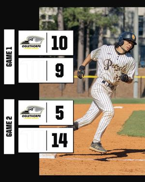 Image post by @GoPetrelsBSB on Twitter