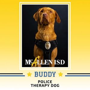 Image post by @mcallenisd on Instagram