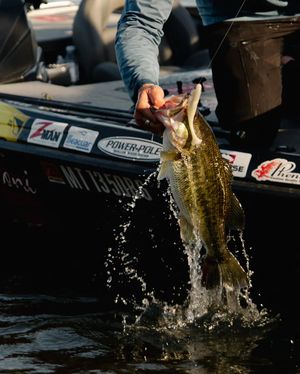 Image post by @zmanfishingproducts on Instagram
