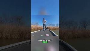 Video post by @lakeforkguy on YouTube