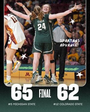 Image post by @msu.nil.store on Instagram