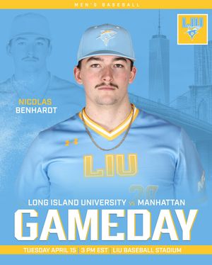 Image post by @liubaseball on Instagram