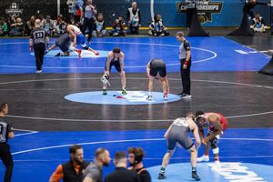 Image post by @ncaawrestling on Instagram