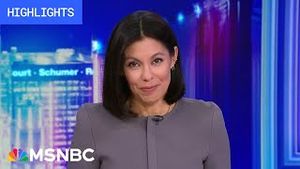 Video post by @msnbc on YouTube