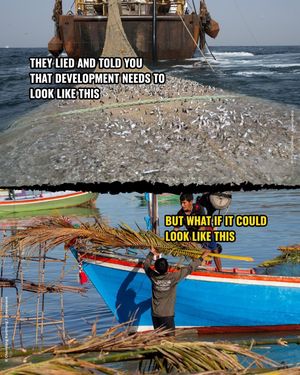 Image post by @greenpeace on Instagram