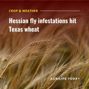 Image post by @txextension on Instagram